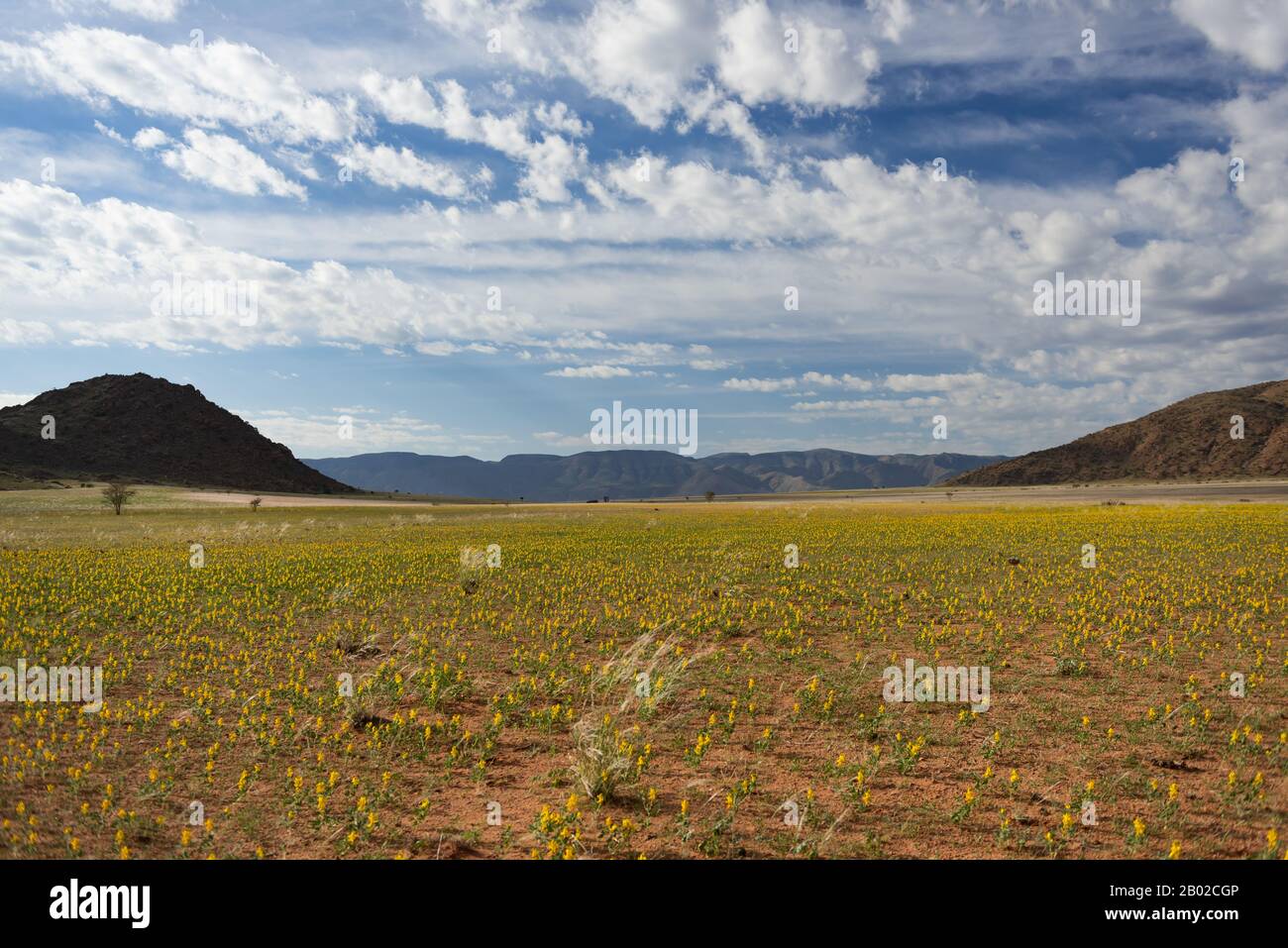 Paysage en Namibie Banque D'Images