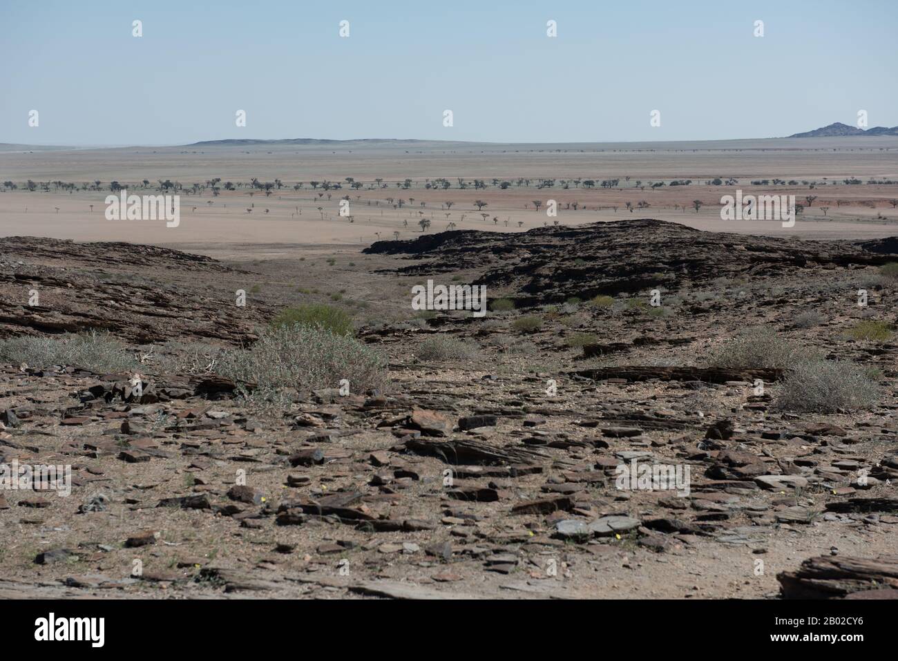 Paysage désertique en Namibie Banque D'Images