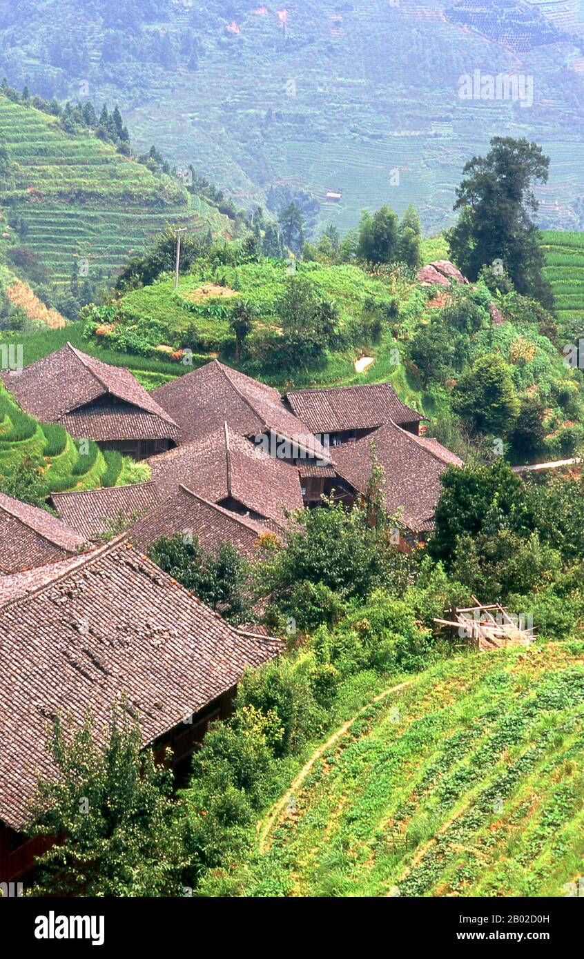 Le peuple Zhuang (chinois: 壮族; pinyin: Zhuàngzú; Zhuang: Bouxcuengh) est un groupe ethnique qui vit principalement dans la région autonome de Guangxi Zhuang dans le sud de la Chine. Certains vivent également dans les provinces du Yunnan, du Guangdong, du Guizhou et du Hunan. Ils forment l'un des 55 groupes ethniques minoritaires officiellement reconnus par la République Populaire de Chine. Avec les Buyi, Tay–Nùng et d'autres intervenants du nord du Tai, ils sont parfois appelés Rau ou Rao. Leur population, estimée à 18 millions de personnes, les place en deuxième position seulement pour les Chinois Han et fait du Zhuang la plus grande minorité en Chine. Longji (Dragon' Banque D'Images