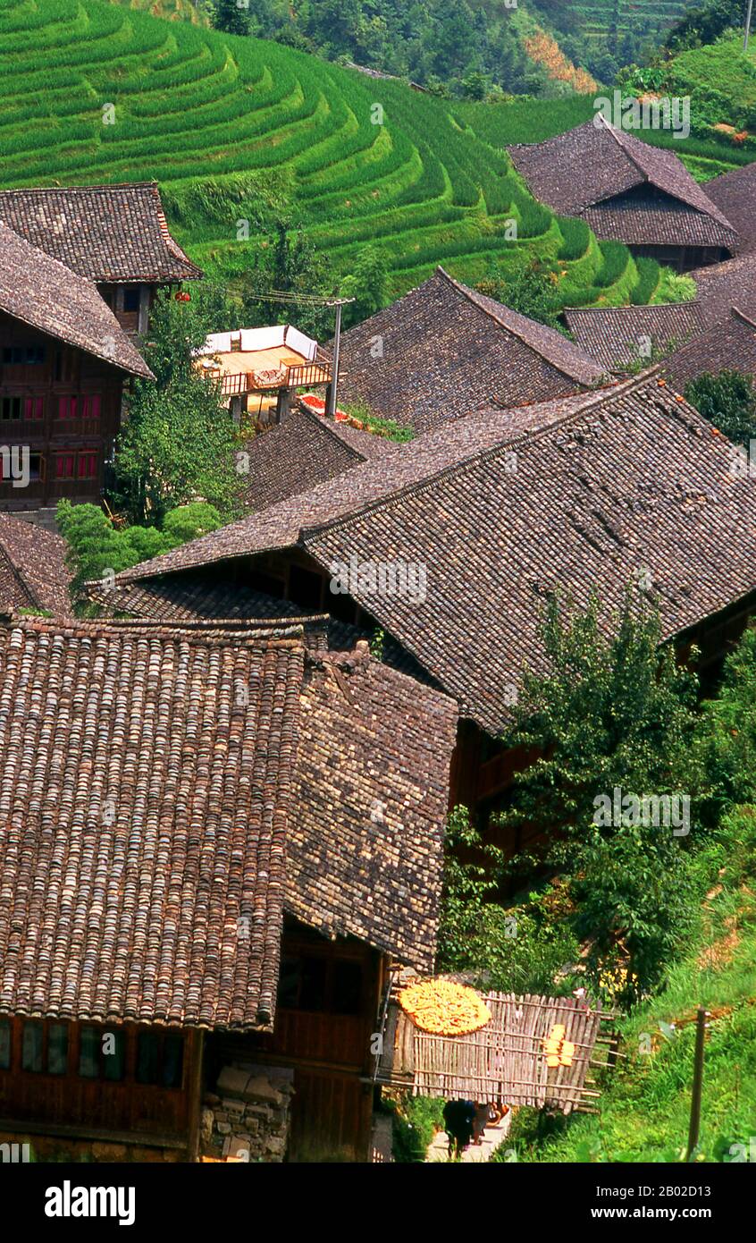 Le peuple Zhuang (chinois: 壮族; pinyin: Zhuàngzú; Zhuang: Bouxcuengh) est un groupe ethnique qui vit principalement dans la région autonome de Guangxi Zhuang dans le sud de la Chine. Certains vivent également dans les provinces du Yunnan, du Guangdong, du Guizhou et du Hunan. Ils forment l'un des 55 groupes ethniques minoritaires officiellement reconnus par la République Populaire de Chine. Avec les Buyi, Tay–Nùng et d'autres intervenants du nord du Tai, ils sont parfois appelés Rau ou Rao. Leur population, estimée à 18 millions de personnes, les place en deuxième position seulement pour les Chinois Han et fait du Zhuang la plus grande minorité en Chine. Longji (Dragon' Banque D'Images