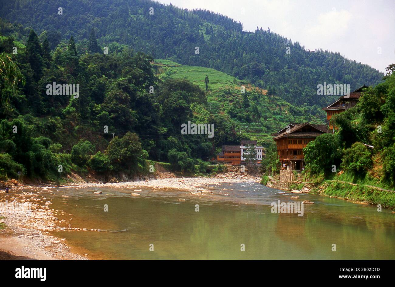 Chine : la rivière Xun (Xún Jiāng) dans le village de Huangluo près des terrasses de riz de Longsheng, comté de Longsheng, province du Guangxi. La rivière Xun (pinyin : Xún Jiāng) est le nom d'une courte section de la branche principale du système de la rivière des perles en amont du Xi Jiang en Chine. Bien que longue de moins de 150 km, elle revêt une importance considérable dans la province du Guangxi, car elle draine la majorité de la province. La rivière Xun dans son nom est formée par les rivières Yu et Qian, le Qian étant le plus grand des deux affluents. Le Xun sort alors de Guiping et traverse Pingnan. Banque D'Images