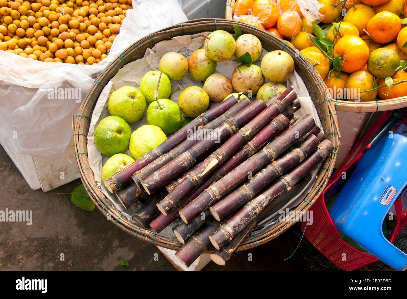 Vietnam : canne à sucre, goyave et fruits laitiers (Chrysophyllum cainito) sur un plateau dans un marché vietnamien. Les rues de la capitale, Hanoi, et surtout de la plus grande ville, Ho Chi Minh ville, animent avec enthousiasme et énergie d'affaires. L'abandon de l'économie socialiste et son remplacement progressif par un capitalisme limité orienté vers le marché ont été salués par la population. Les gens partout dans le monde sont à la ligne pour gagner de l'argent, et les rues sont remplies de petites entreprises privées vendant toutes sortes d'articles. Banque D'Images