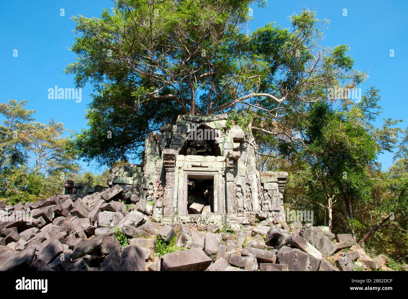 Cambodge: Beng Mealea (temple khmer du 12th siècle), 40km à l'est du principal groupe de temples d'Angkor. Beng Mealea a été construit comme un temple hindou, mais il y a quelques sculptures représentant des motifs bouddhistes. L'histoire du temple est inconnue et ne peut être datée que par son style architectural, identique à celui d'Angkor Wat, de sorte que les érudits ont supposé qu'il avait été construit pendant le règne du roi Suryavarman II au début du siècle 12th. De plus petite taille qu'Angkor Wat, le principal monument du roi, Beng Mealea se classe néanmoins parmi les plus grands temples de l'empire khmer. Banque D'Images