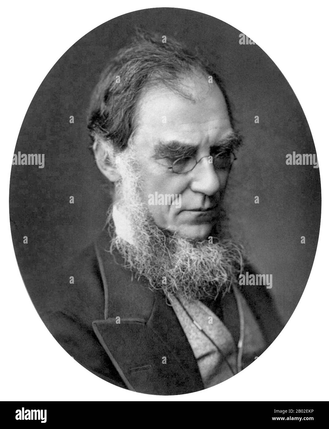 Sir Joseph Dalton Hooker OM GCSI CB FRS (30 juin 1817 – 10 décembre 1911) était l'un des plus grands botanistes et explorateurs britanniques du XIXe siècle. Hooker a été le fondateur de la botanique géographique et l'ami le plus proche de Charles Darwin. Il a été directeur des Jardins botaniques royaux, Kew, pendant vingt ans, successivement à son père, William Jackson Hooker, et a reçu les plus hautes distinctions de la science britannique. Le 11 novembre 1847, Hooker quitte l'Angleterre pour sa expédition de trois ans dans l'Himalaya; il serait le premier européen à collecter des plantes dans l'Himalaya. Il a reçu un passage libre sur HMS S. Banque D'Images