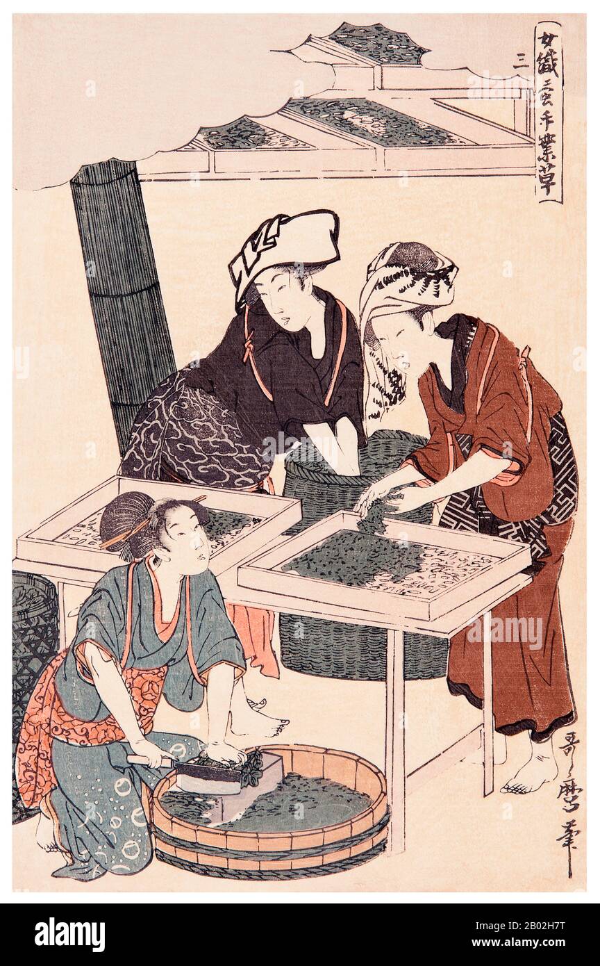 3. « nourrir les vers à soie », représentant une fille qui dicte les feuilles de mûrier sur un bloc au premier plan tandis que deux autres alimentent les vers sur les plateaux en arrière-plan. Kitagawa Utamaro (env. 1753 - 31 octobre 1806) était un peintre et graveur japonais, considéré comme l'un des plus grands artistes de gravures de bois (ukiyo-e). Il est surtout connu pour ses études magistralement composées de femmes, connues sous le nom de bijinga. Il a également produit des études sur la nature, notamment des livres illustrés d'insectes. Banque D'Images