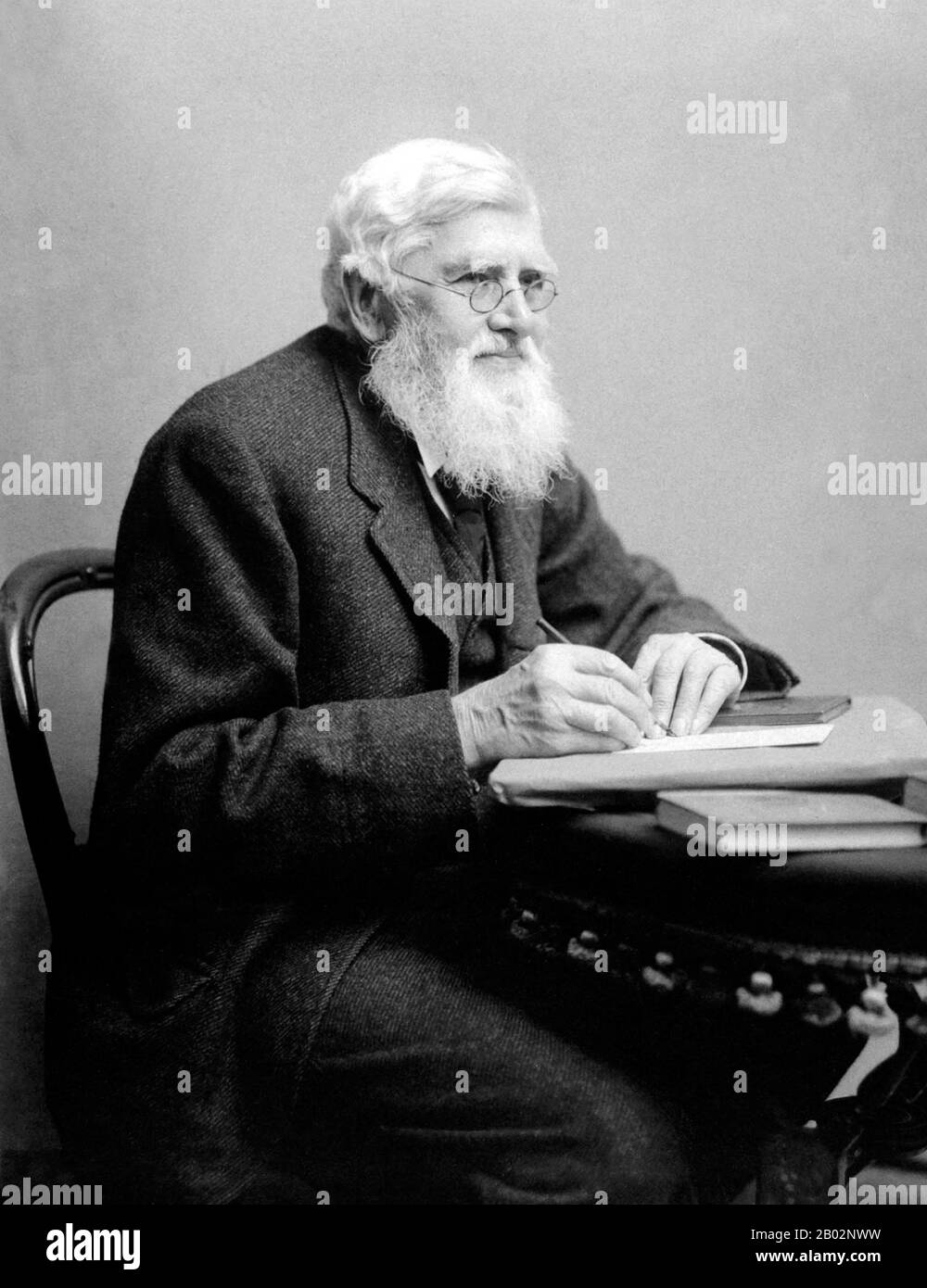 Alfred Russel Wallace OM FRS (8 janvier 1823 – 7 novembre 1913) était naturaliste britannique, explorateur, géographe, anthropologue et biologiste. Il est plus connu pour concevoir indépendamment la théorie de l'évolution par la sélection naturelle; son article sur le sujet a été publié conjointement avec certains des écrits de Charles Darwin en 1858. Cela a incité Darwin à publier ses propres idées sur L'origine des espèces. Wallace a fait de vastes travaux sur le terrain, d'abord dans le bassin de la rivière Amazone, puis dans l'archipel de Malay, où il a identifié le fossé faunal maintenant appelé la ligne Wallace, qui sépare L'In Banque D'Images