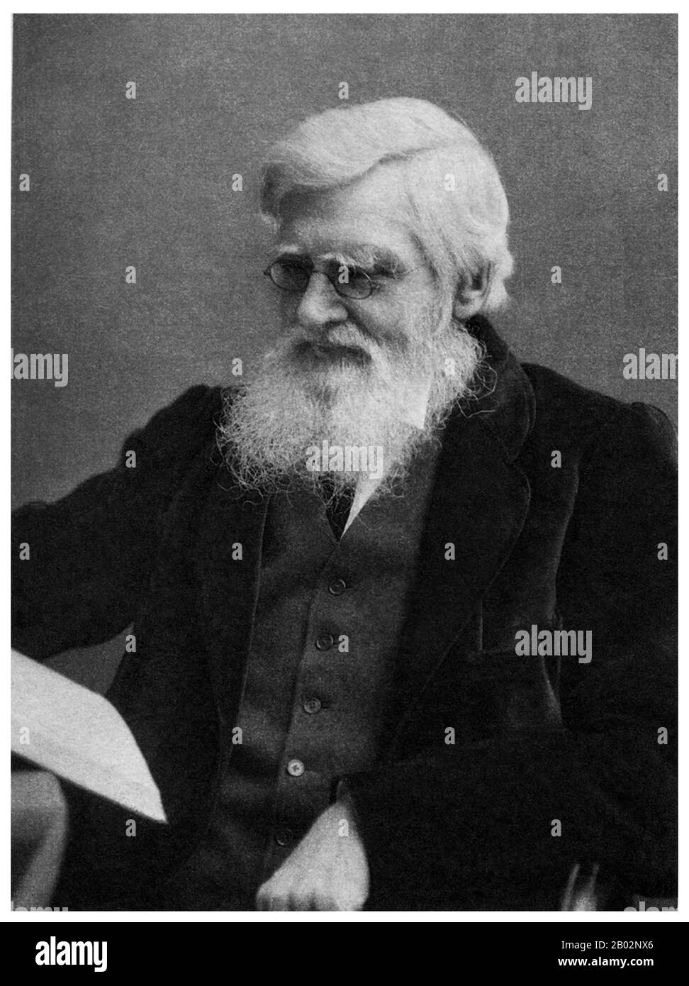 Alfred Russel Wallace OM FRS (8 janvier 1823 – 7 novembre 1913) était naturaliste britannique, explorateur, géographe, anthropologue et biologiste. Il est plus connu pour concevoir indépendamment la théorie de l'évolution par la sélection naturelle; son article sur le sujet a été publié conjointement avec certains des écrits de Charles Darwin en 1858. Cela a incité Darwin à publier ses propres idées sur L'origine des espèces. Wallace a fait de vastes travaux sur le terrain, d'abord dans le bassin de la rivière Amazone, puis dans l'archipel de Malay, où il a identifié le fossé faunal maintenant appelé la ligne Wallace, qui sépare L'In Banque D'Images
