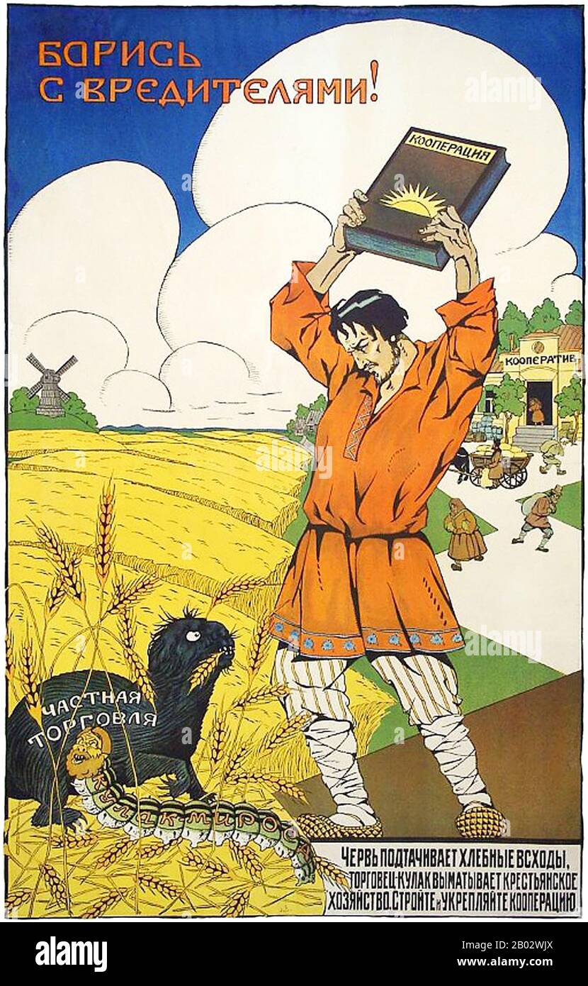 Les kulaks étaient une catégorie d'agriculteurs relativement aisés dans le dernier Empire russe, la Russie soviétique et le début de l'Union soviétique. Le mot kulak a d'abord fait référence à des agriculteurs indépendants de l'Empire russe qui sont sortis de la paysannerie et sont devenus riches après la réforme de Stolypin, qui a commencé en 1906. Le label du kulak a été élargi en 1918 pour inclure tout paysan qui a résisté à la remise de son grain aux détachements de Moscou. Selon la théorie politique du marxisme–léninisme du début du XXe siècle, les kulaks étaient des ennemis de classe des paysans les plus pauvres. Vladimir Ilyich Lenin Décrire Banque D'Images