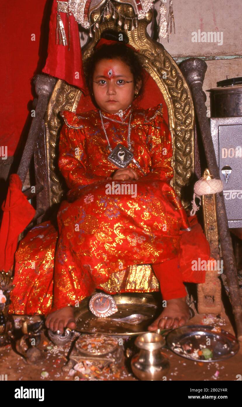 Kumari - Littéralement "vierge", une jeune fille qui est considérée comme l'incarnation de la déesse hindoue Taleju; reste seulement dans son état divin jusqu'à ce qu'elle ait perdu la première goutte de sang, soit par une blessure ou sa première menstruation; À tout moment, il y a plusieurs Kumaris dans les villes de la vallée de Katmandou. Le Kumari est choisi parmi la caste Shakya de la communauté népalaise Newari. Banque D'Images