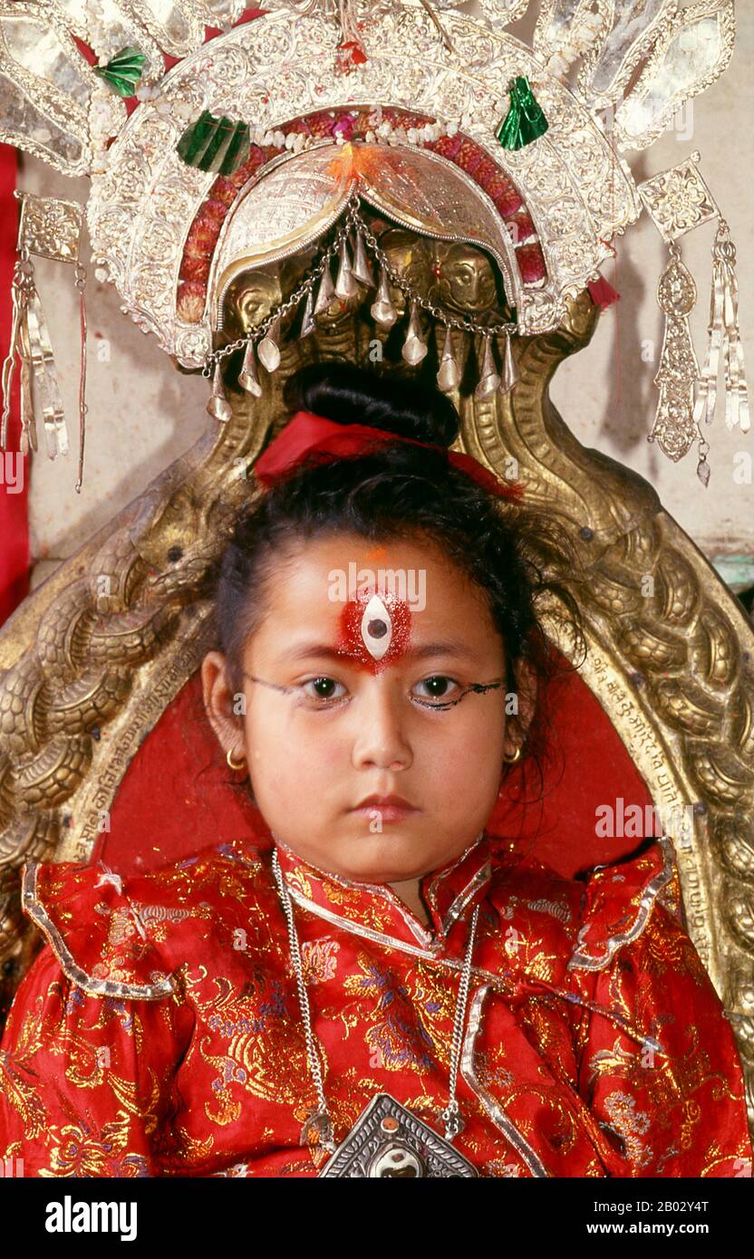 Kumari - Littéralement "vierge", une jeune fille qui est considérée comme l'incarnation de la déesse hindoue Taleju; reste seulement dans son état divin jusqu'à ce qu'elle ait perdu la première goutte de sang, soit par une blessure ou sa première menstruation; À tout moment, il y a plusieurs Kumaris dans les villes de la vallée de Katmandou. Le Kumari est choisi parmi la caste Shakya de la communauté népalaise Newari. Banque D'Images