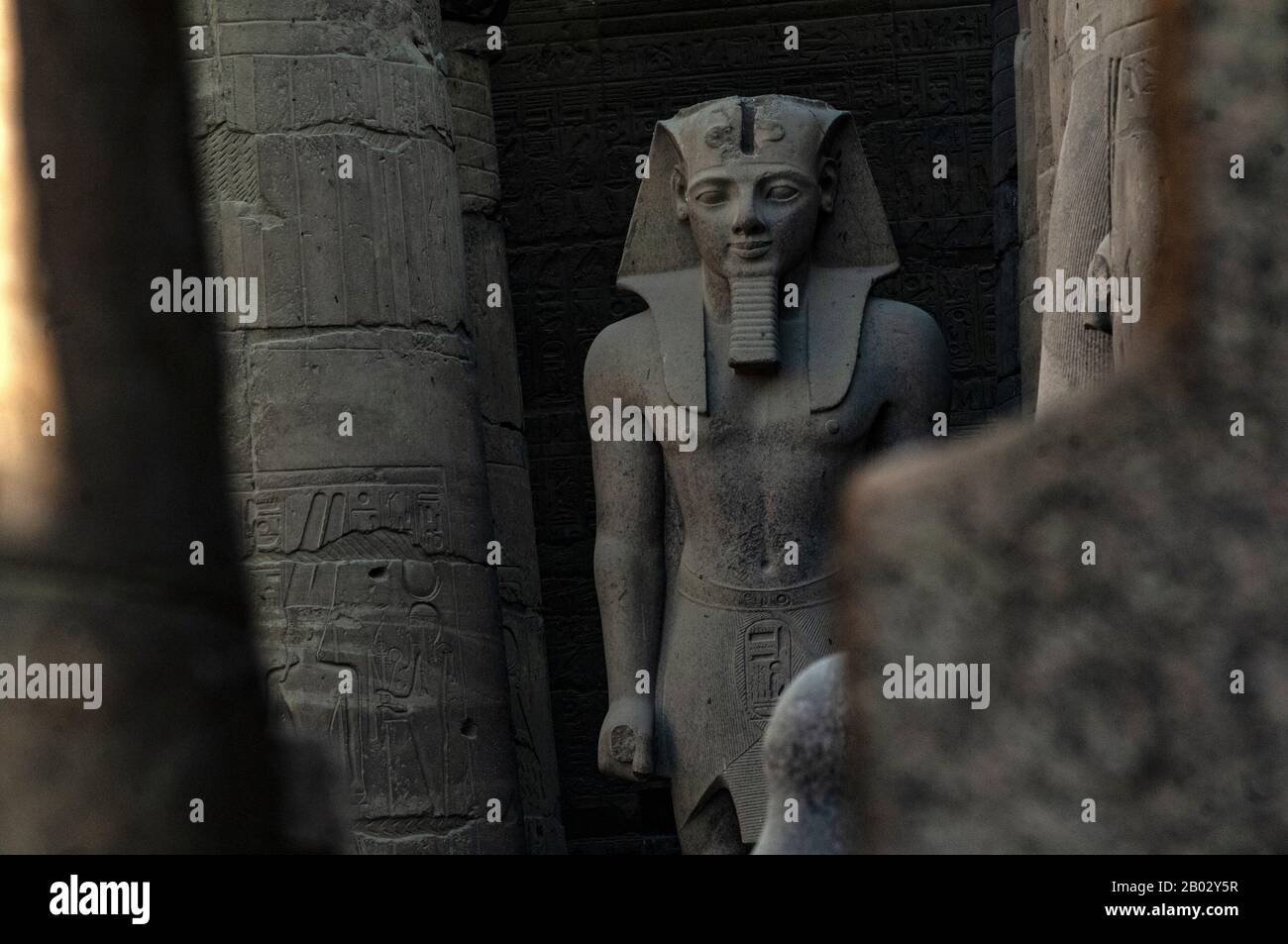 Louxor, Egypte. 11 février 2009 statue en pierre du Pharaon Ramesses le deuxième, dans les ruines antiques de Niles côté du temple de Louxor. Luxor, Egypte, Afrique Banque D'Images