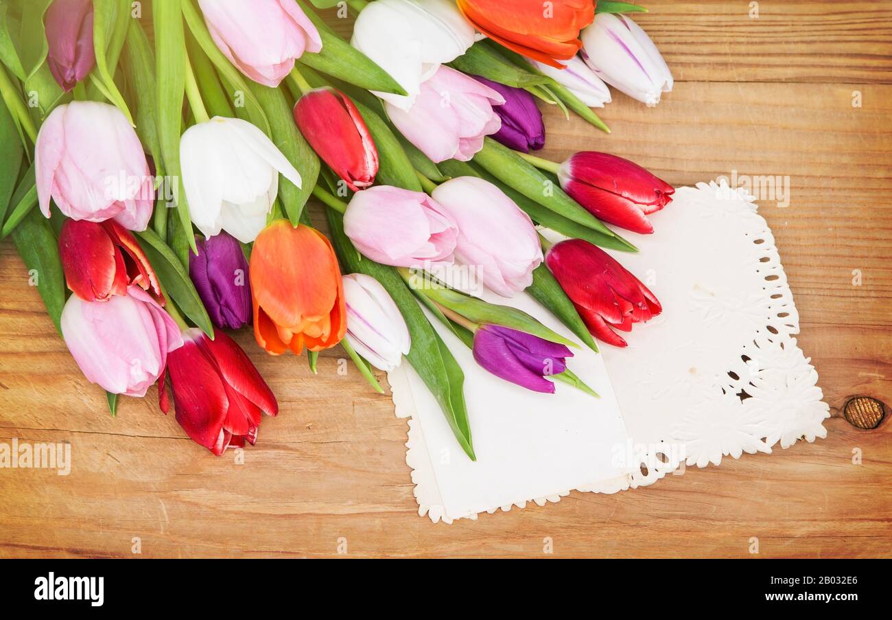 Tulipes de printemps colorées avec une carte vierge Banque D'Images