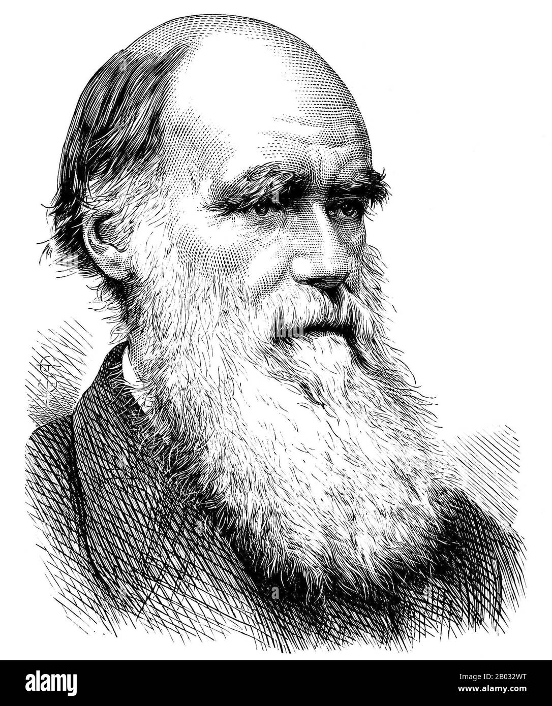 Charles Robert Darwin, FRS (12 février 1809 – 19 avril 1882) était naturaliste et géologue anglais, mieux connu pour ses contributions à la théorie de l'évolution. Il a établi que toutes les espèces de la vie sont descendues avec le temps d'ancêtres communs, Et dans une publication conjointe avec Alfred Russel Wallace a introduit sa théorie scientifique que ce modèle d'évolution branchable résulte d'un processus qu'il a appelé sélection naturelle, dans lequel la lutte pour l'existence a un effet similaire à la sélection artificielle impliquée dans la sélection sélective. Darwin a publié sa théorie de l'évolution avec co Banque D'Images