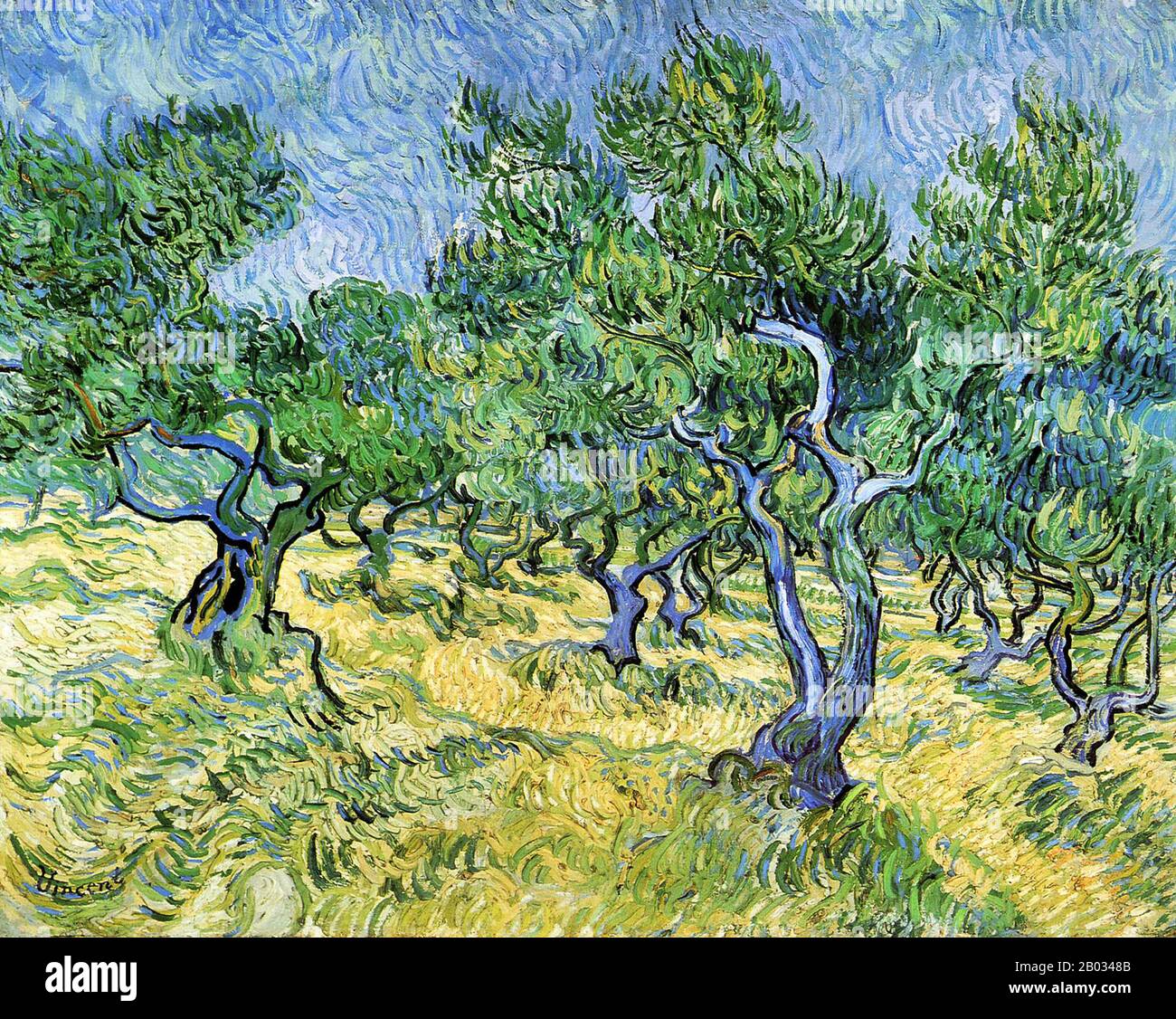 Vincent van Gogh a peint au moins 18 peintures d'oliviers, principalement à Saint-Rémy-de-Provence en 1889. À sa demande, il a vécu dans un asile de mai 1889 à mai 1890 en peignant les jardins de l'asile et, lorsqu'il a eu l'autorisation de s'aventurer à l'extérieur de ses murs, des oliviers, des cyprès et des champs de blé. Cette peinture, 'Olive Orchard', est généralement considérée comme ayant été influencée par la 'Maiko Beach' d'Utagawa Hiroshige (Harima, Maiko on hama), 1853, et appartient donc aux peintures japonaises de Van Gogh. Banque D'Images