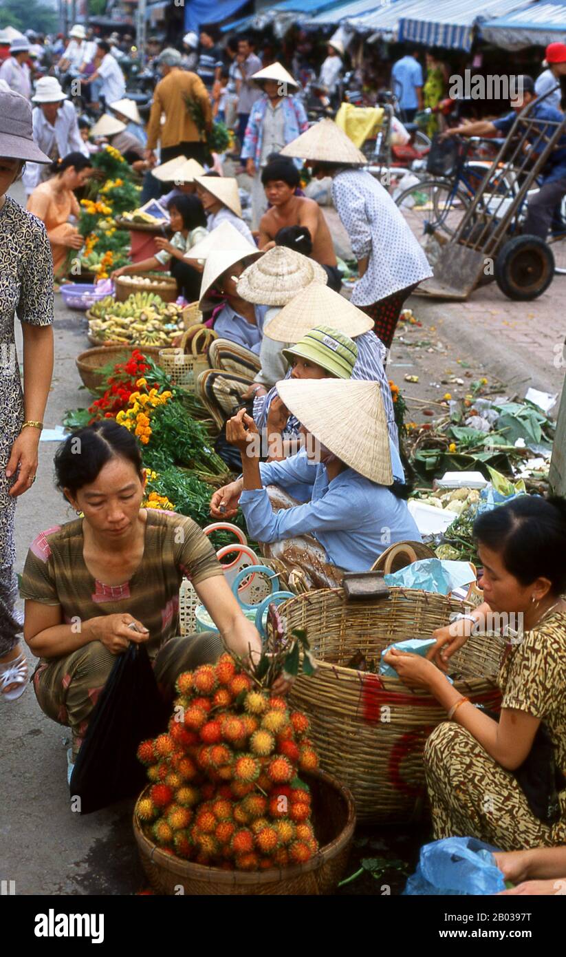 Le sud du Vietnam est dominé par les riches terres agricoles du delta du Mékong, la principale source de production de riz, de fruits et de légumes du pays. La terre est alluviale et basse, avec des marais et des forêts de mangroves à l'ouest et au sud. Pendant la saison des pluies, l'eau couvre un tiers du delta, avec des inondations jusqu'à 4 m (13 pi). Par endroits, l'eau salée empiète sur le delta jusqu'à 30 m (48 km). Bien que extraordinairement fertile, certaines parties du Delta n'ont pas encore été cultivées. Banque D'Images