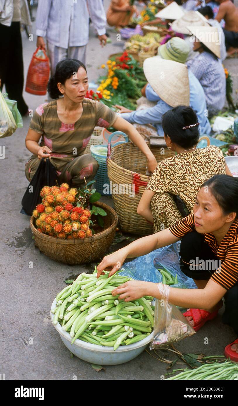 Le sud du Vietnam est dominé par les riches terres agricoles du delta du Mékong, la principale source de production de riz, de fruits et de légumes du pays. La terre est alluviale et basse, avec des marais et des forêts de mangroves à l'ouest et au sud. Pendant la saison des pluies, l'eau couvre un tiers du delta, avec des inondations jusqu'à 4 m (13 pi). Par endroits, l'eau salée empiète sur le delta jusqu'à 30 m (48 km). Bien que extraordinairement fertile, certaines parties du Delta n'ont pas encore été cultivées. Banque D'Images