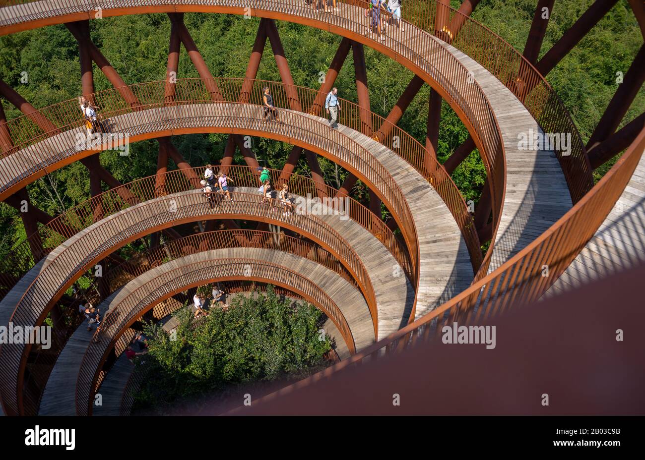 Visiter la Tour Aventure au camp près de Haslev, construit par l'architecture EFFEKT studios et donnant sur la forêt. Banque D'Images