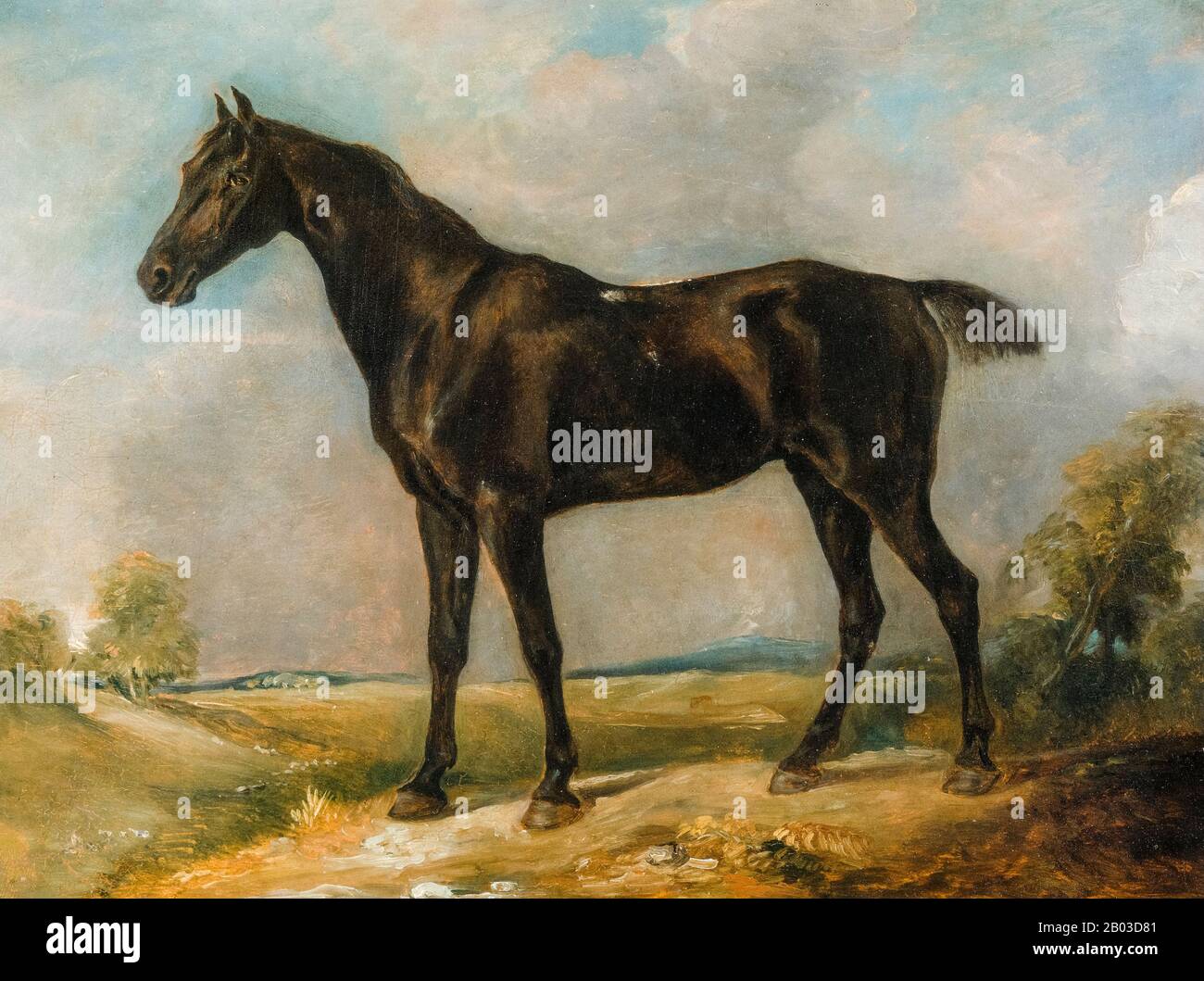 John Constable, Golding Constable'S Black Riding Horse, Peinture, 1805-1810 Banque D'Images