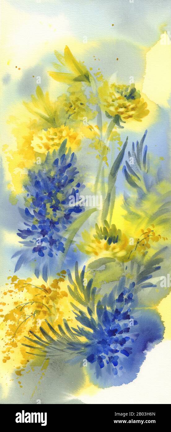 Fleurs printanières avec fond de couleur d'eau mimosa et jacinthe Banque D'Images