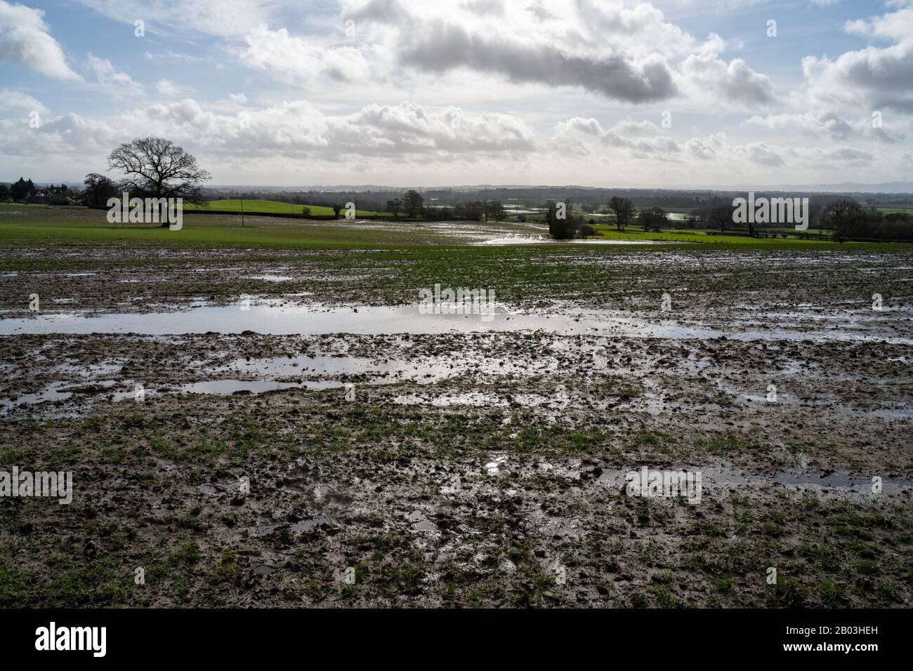 En regardant sur les champs inondés et inondés de Shropshire après la tempête Dennis. Boue et piscines d'eau à proximité de la caméra et de l'eau de crue au-delà. Banque D'Images