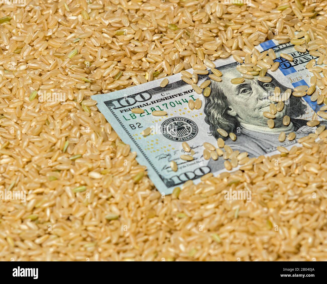 Gros plan de graines de riz brun à grains entiers entourant la facture américaine de 100 dollars. Concept de l'industrie du riz des États-Unis d'Amérique, commerce, prix du marché Banque D'Images