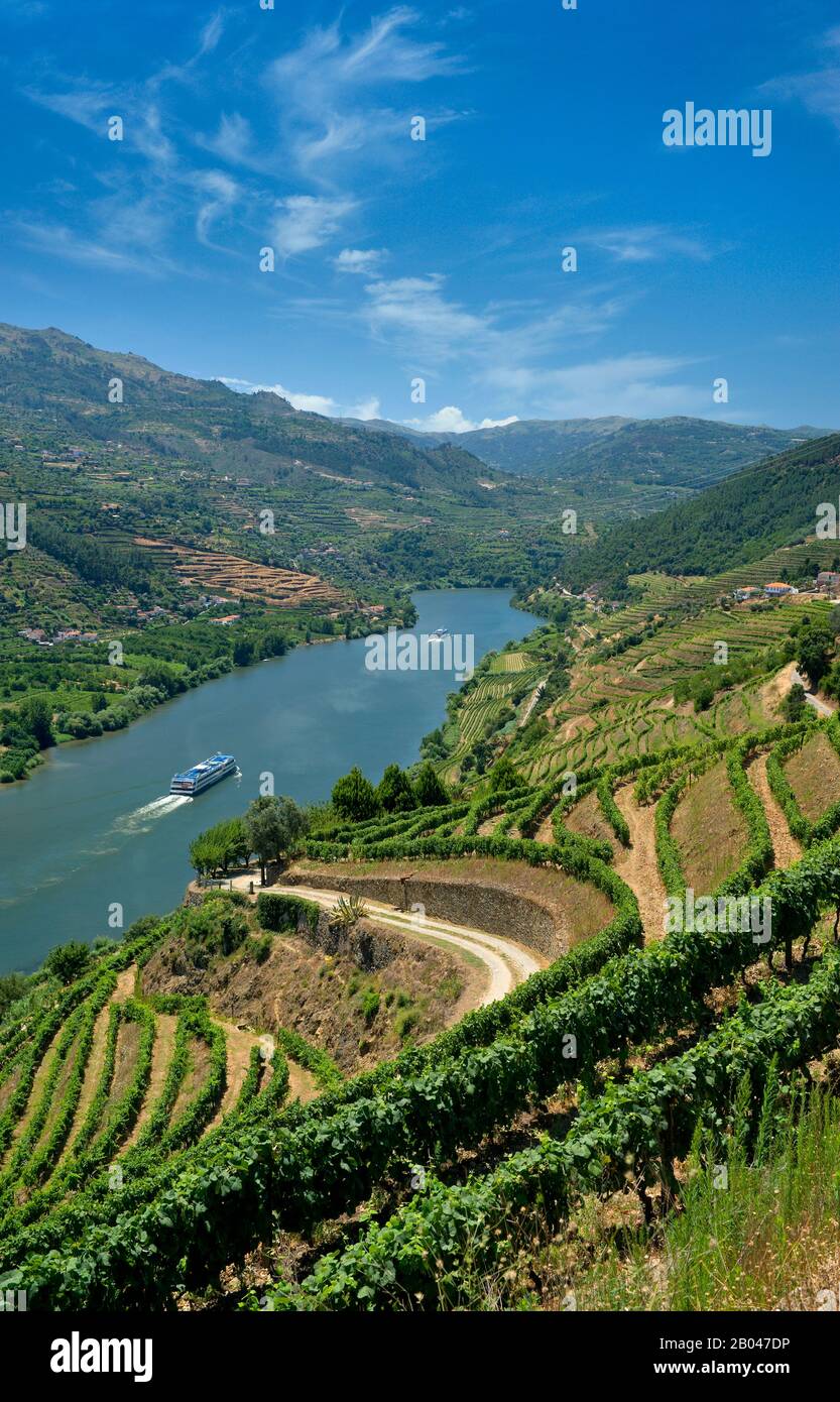 Portugal, la vallée du Douro près de Peso da Regua Banque D'Images
