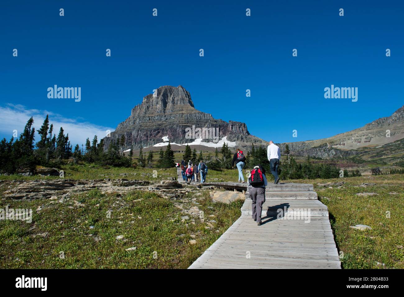 Les gens font de la randonnée sur la promenade en direction de Hidden Hake au Logan Pass dans le parc national des Glaciers, Montana, États-Unis. Banque D'Images