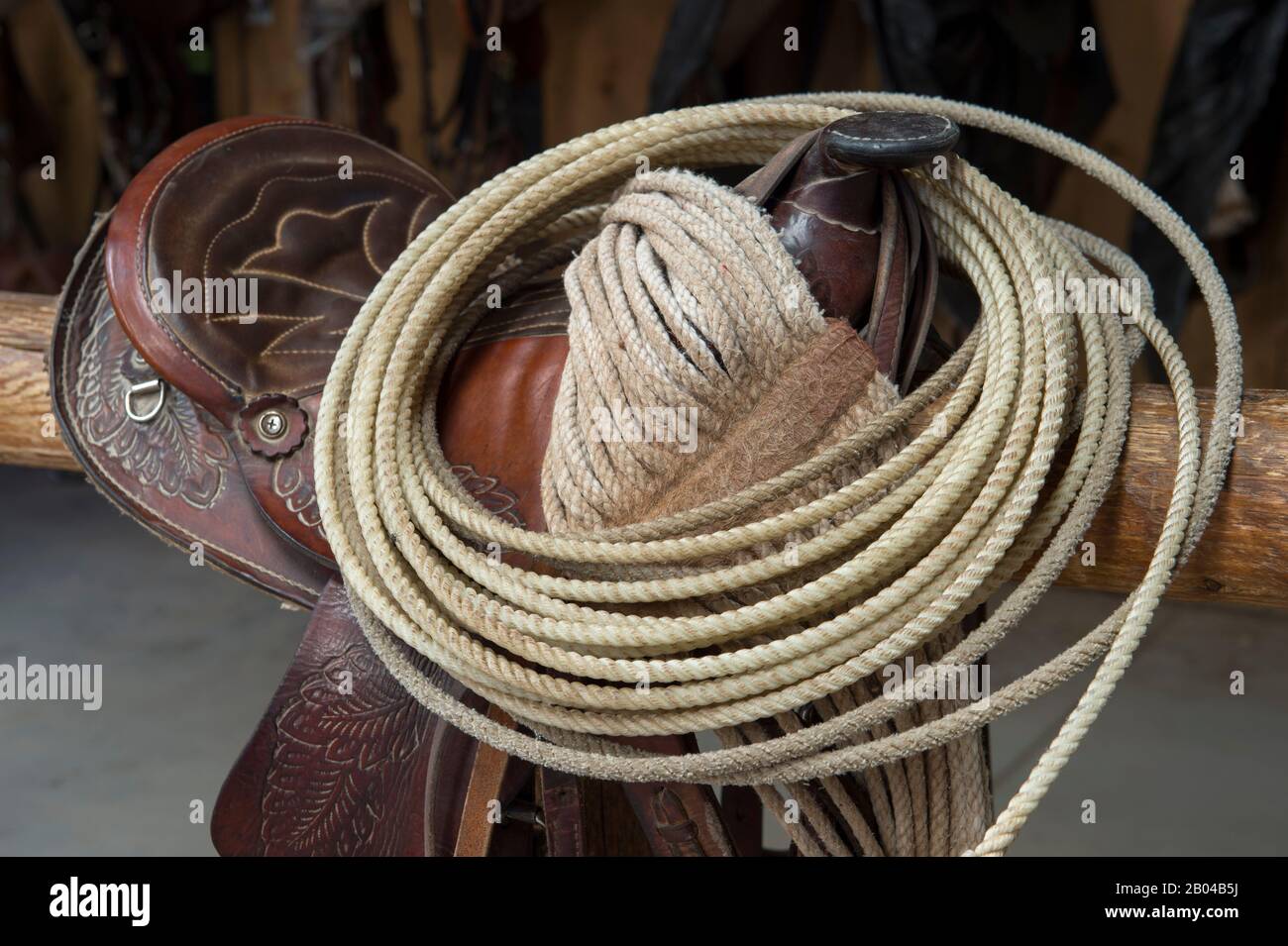 Selle et lasso à Averill's Flathead Lake Lodge, un ranch creusé près de Kalispell, Montana, États-Unis. Banque D'Images