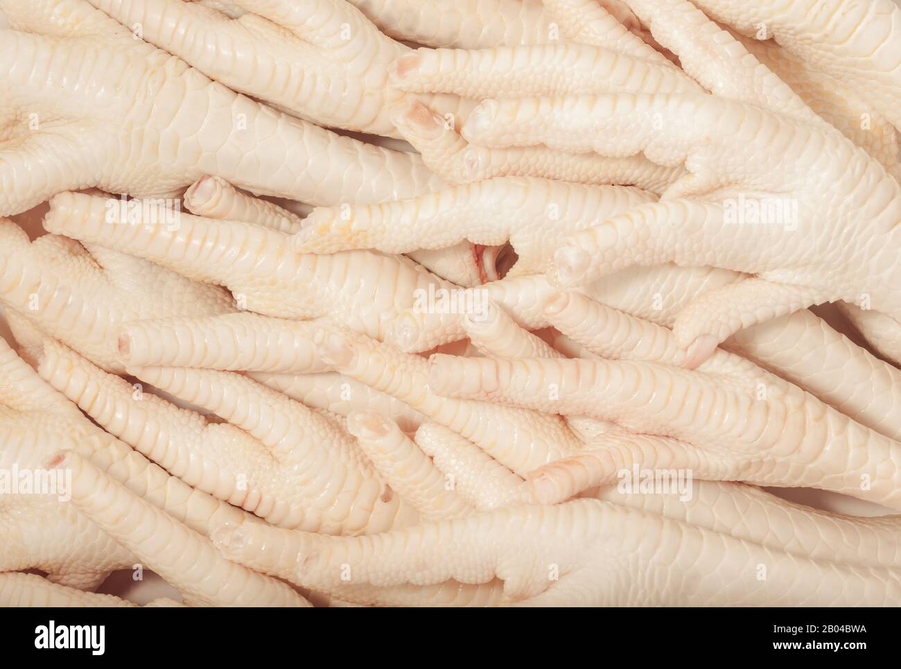 Pieds de poulet frais crus. Couper du poulet frais. Pieds de poulet, cru, thème de la nourriture saine. Banque D'Images