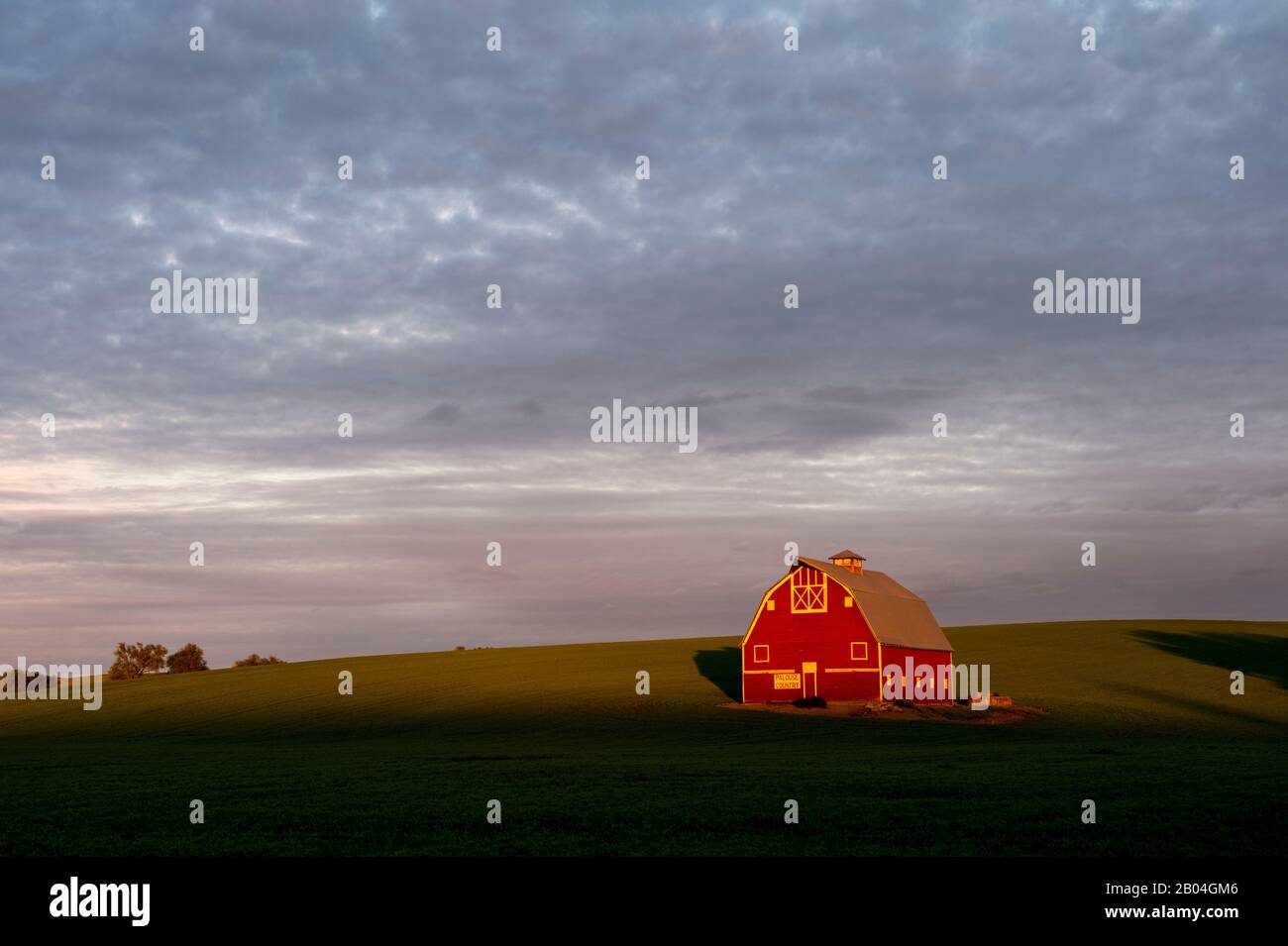 La grange de Palouse à l'extérieur d'Uniontown dans le comté de Whitman dans la Palouse près de Pullman, État de Washington, États-Unis. Banque D'Images