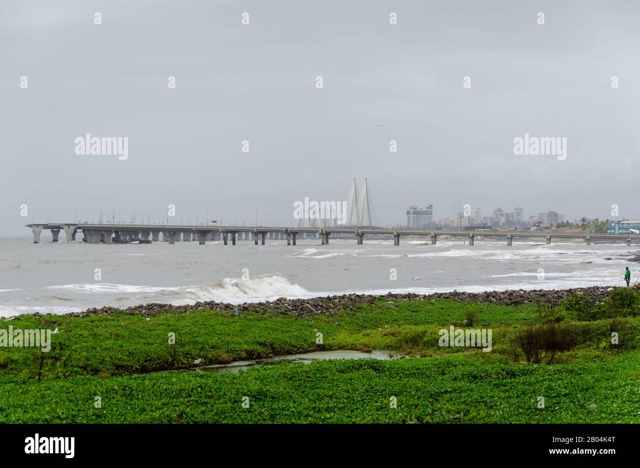 Vue sur un homme pêchant dans la mer avec le Bandra - Worli Sea Link en toile de fond, vu de Worli Sea Face à Mumbai, Maharashtra, Inde Banque D'Images