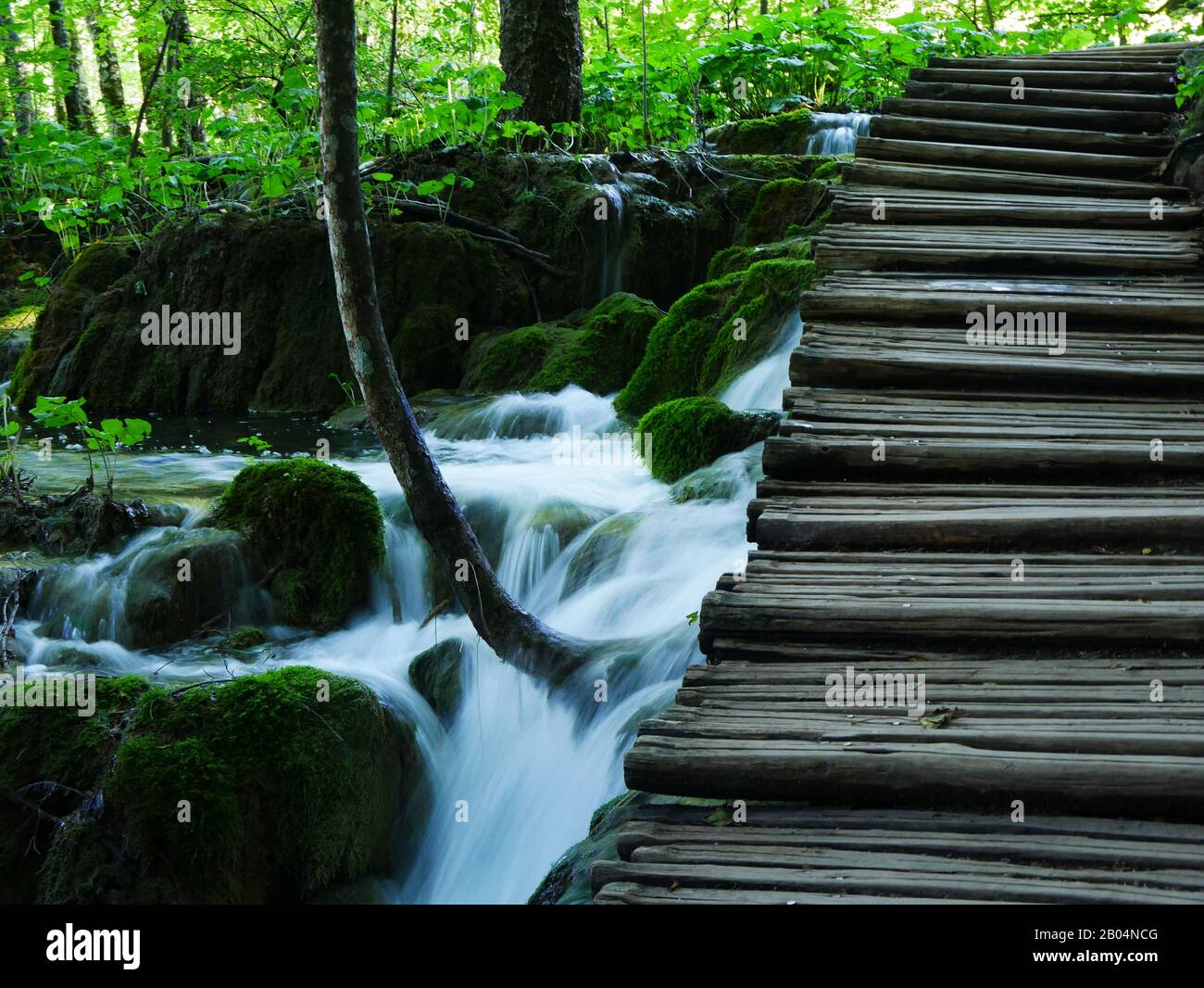 Parc national de Plitvice, Croatie : dans les parcs nationaux, il y a de nombreuses chutes d'eau Banque D'Images