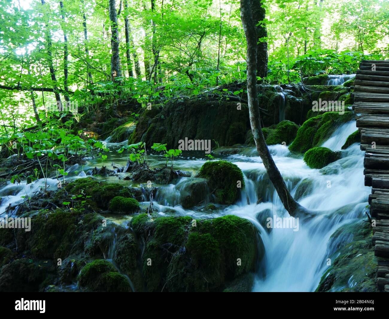 Parc national de Plitvice, Croatie : dans les parcs nationaux, il y a de nombreuses chutes d'eau Banque D'Images