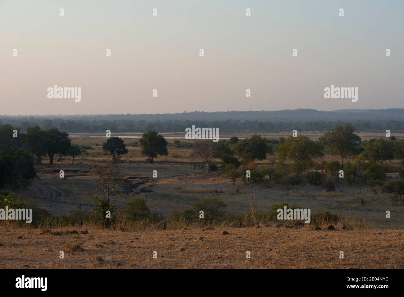 Paysage dans le parc national de Luangwa Sud dans l'est de la Zambie. Banque D'Images Paysage dans le parc national de Luangwa Sud dans l'est de la Zambie. Banque D'Images