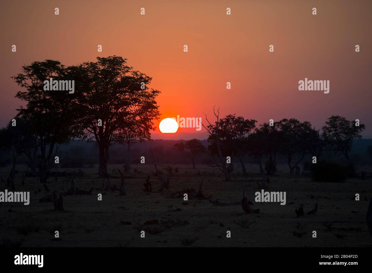 Coucher de soleil dans le parc national de Luangwa Sud dans l'est de la Zambie. Banque D'Images Coucher de soleil dans le parc national de Luangwa Sud dans l'est de la Zambie. Banque D'Images