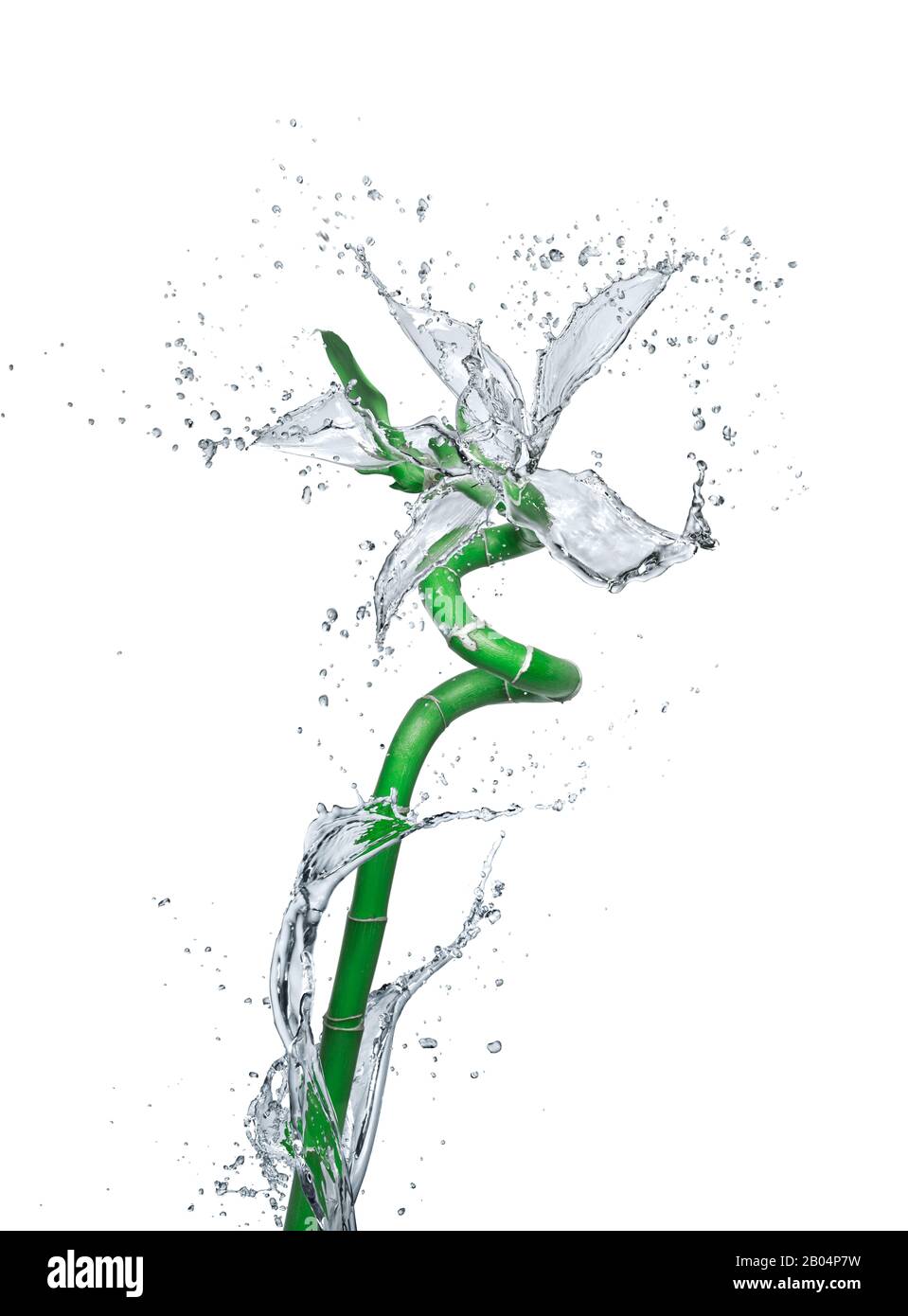 Fleur faite de projections d'eau isolé sur fond blanc Banque D'Images