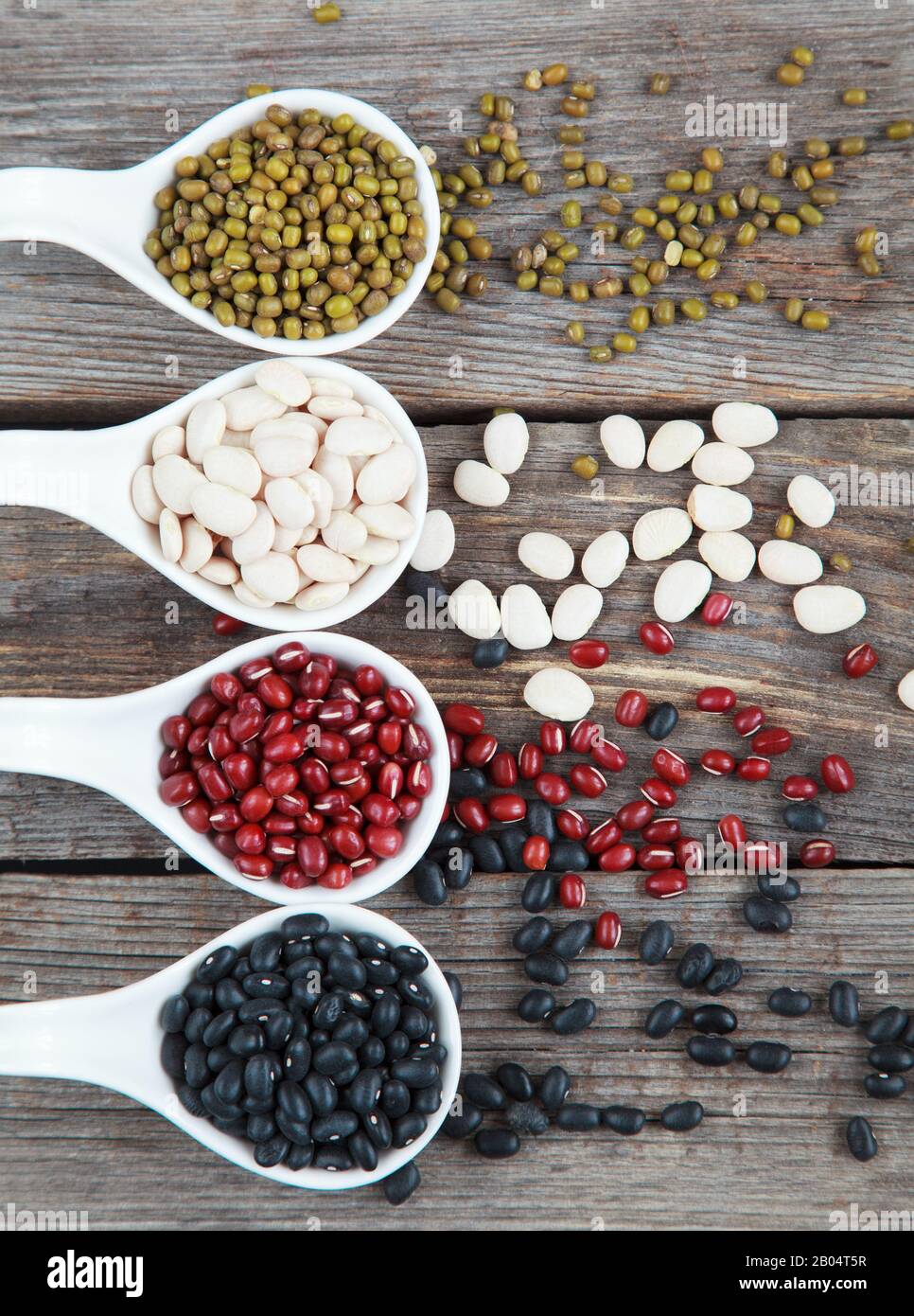 Ensemble de différentes variétés de haricots: Lima de bébé, petite noire, adzuki et mung dans des cuillères en céramique blanche (hors-d'œuvre) sur fond de bois, foc sélectif Banque D'Images