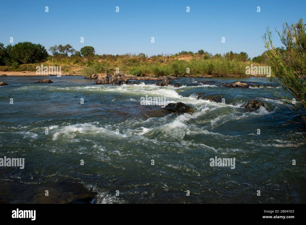 La rivière Sabie dans La Réserve de jeux de Sai Sands adjacente au parc national Kruger en Afrique du Sud. Banque D'Images