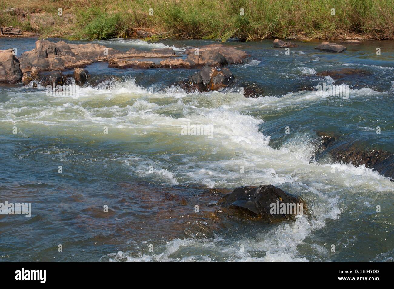 La rivière Sabie dans La Réserve de jeux de Sai Sands adjacente au parc national Kruger en Afrique du Sud. Banque D'Images