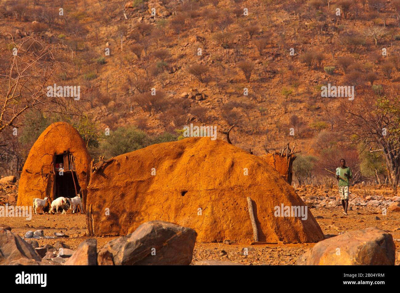 Village D'Himba Près Des Chutes D'Epupa, Région De Kunene, Namibie Banque D'Images