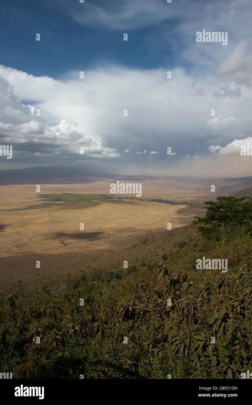 Vue sur le cratère de Ngorongoro avec des nuages de tempête dans la zone de conservation de Ngorongoro en Tanzanie, en Afrique de l'est. Banque D'Images