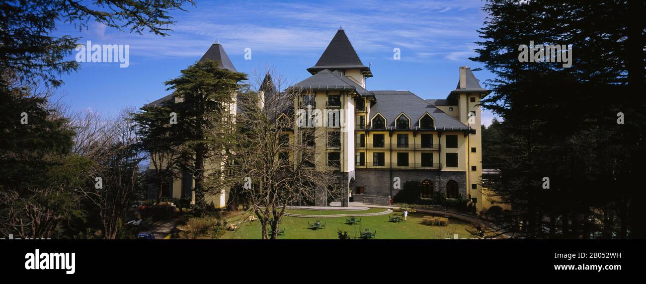 Arbres devant un hôtel, Oberoi Cecil Hotel, Wildflower Hall, Shimla, Himachal Pradesh, Inde Banque D'Images