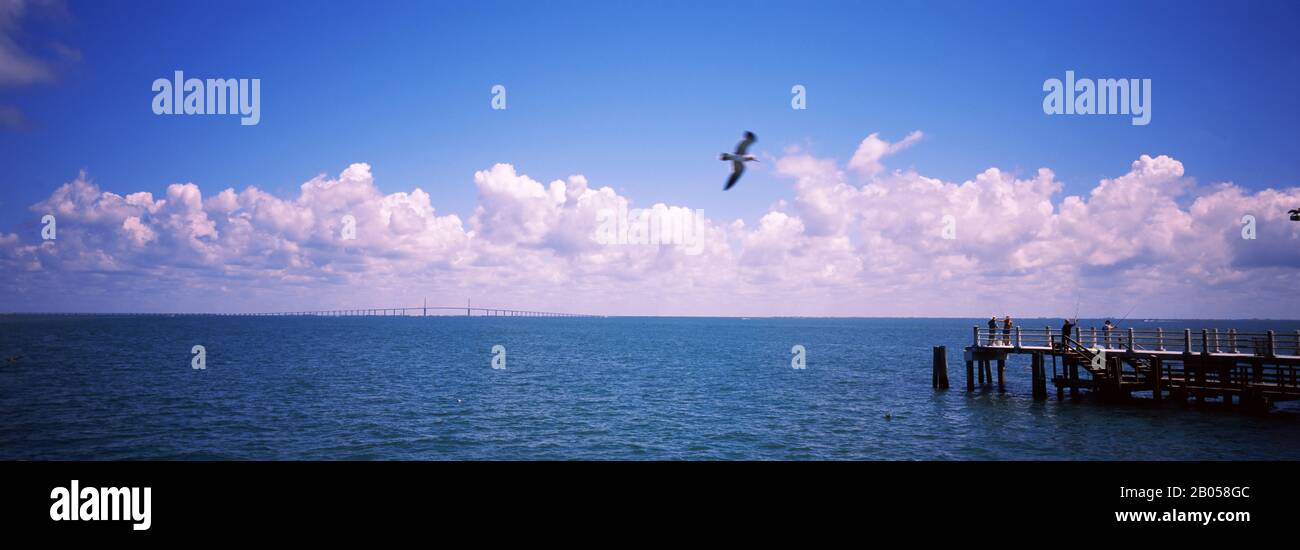 Jetée au-dessus de la mer, fort de Soto Park, Tampa Bay, Golfe du Mexique, Saint-Pétersbourg, Pinellas County, Floride, États-Unis Banque D'Images