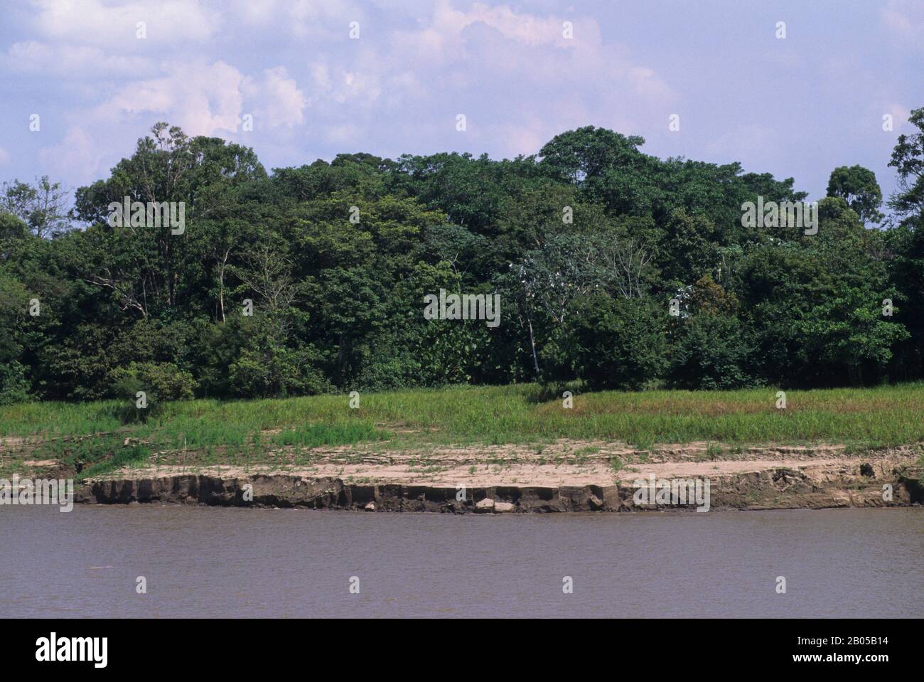 BRÉSIL, AMAZON RIVER, PRÈS DE PARINTINS, RIO BALAIO, ÉROSION DE RIVER BANK Banque D'Images