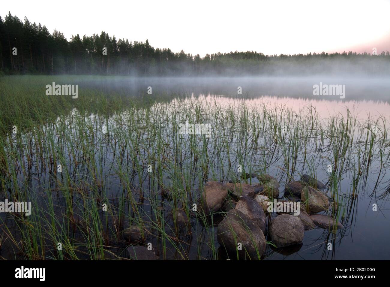 Lac de la Taïga, Finlande Banque D'Images