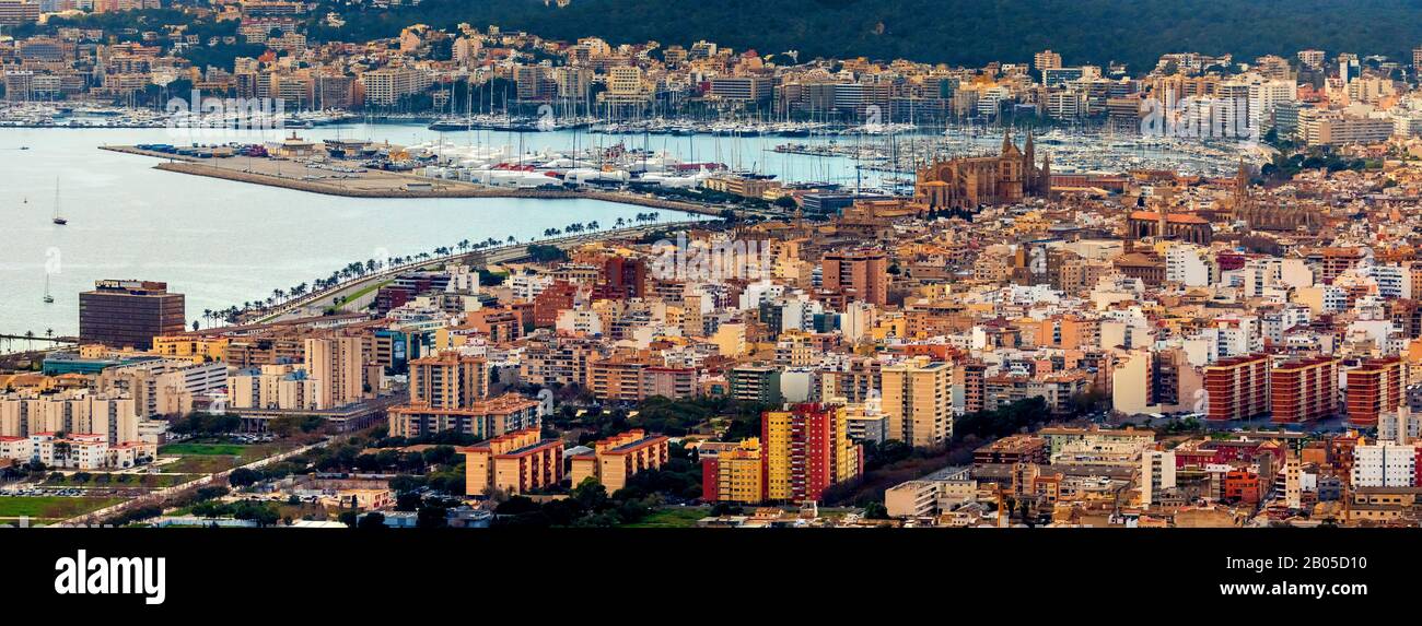 La Palma avec Port de Palma et cathédrale Santa Iglesia Catedral de Mallorca, 09.01.2020, vue aérienne, Espagne, Iles Baléares, Majorque, Palma Banque D'Images