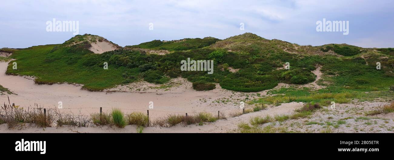 Natuurreservaat Coepelduynen, Pays-Bas, Noordwijk Aan Zee Banque D'Images