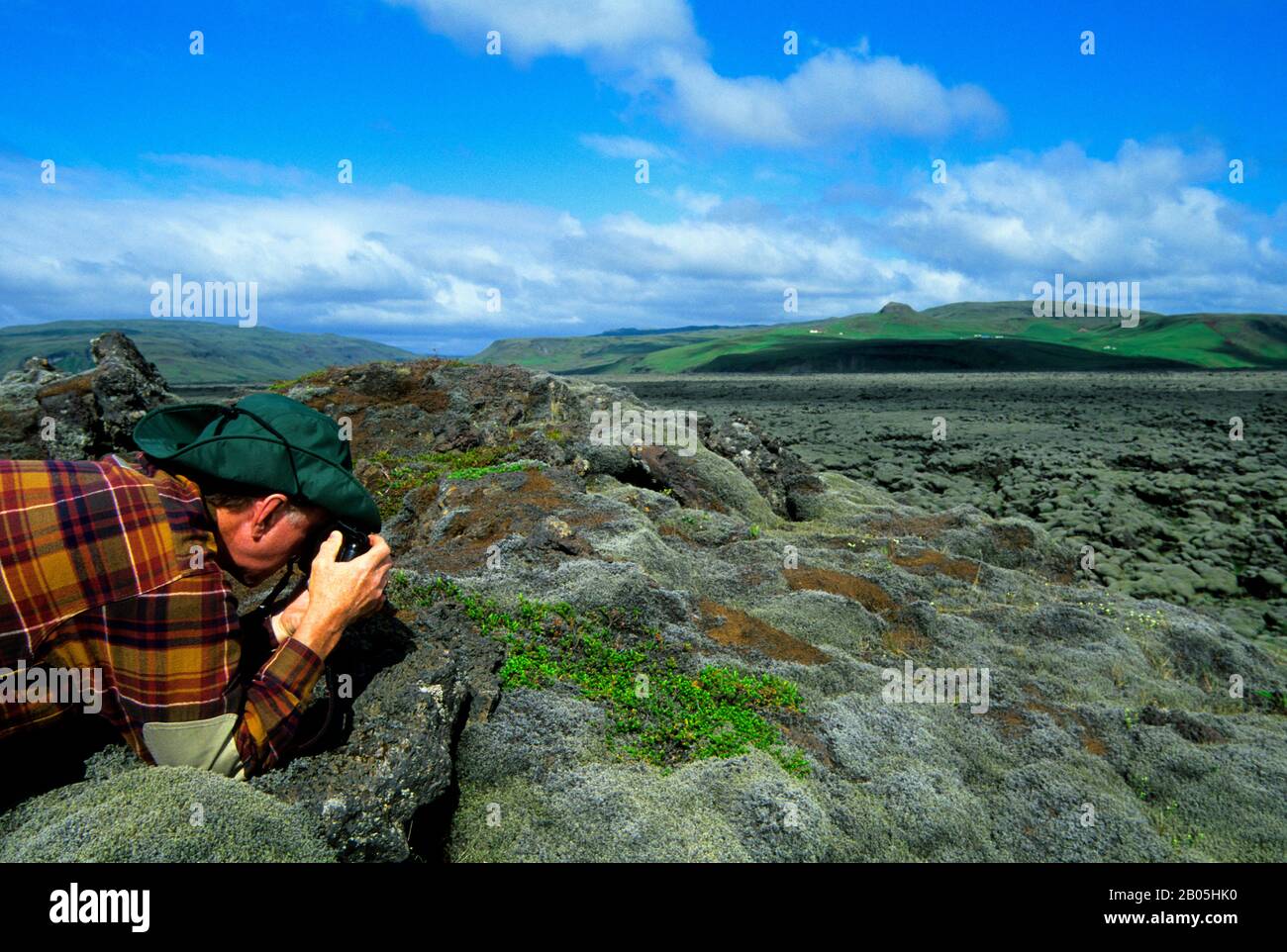 ISLANDE, CÔTE SUD, CHAMP DE LAVE À PARTIR DE 1783 ÉRUPTION, COUVERTE DE MOSS, SAULE, PHOTOGRAPHIE TOURISTIQUE Banque D'Images