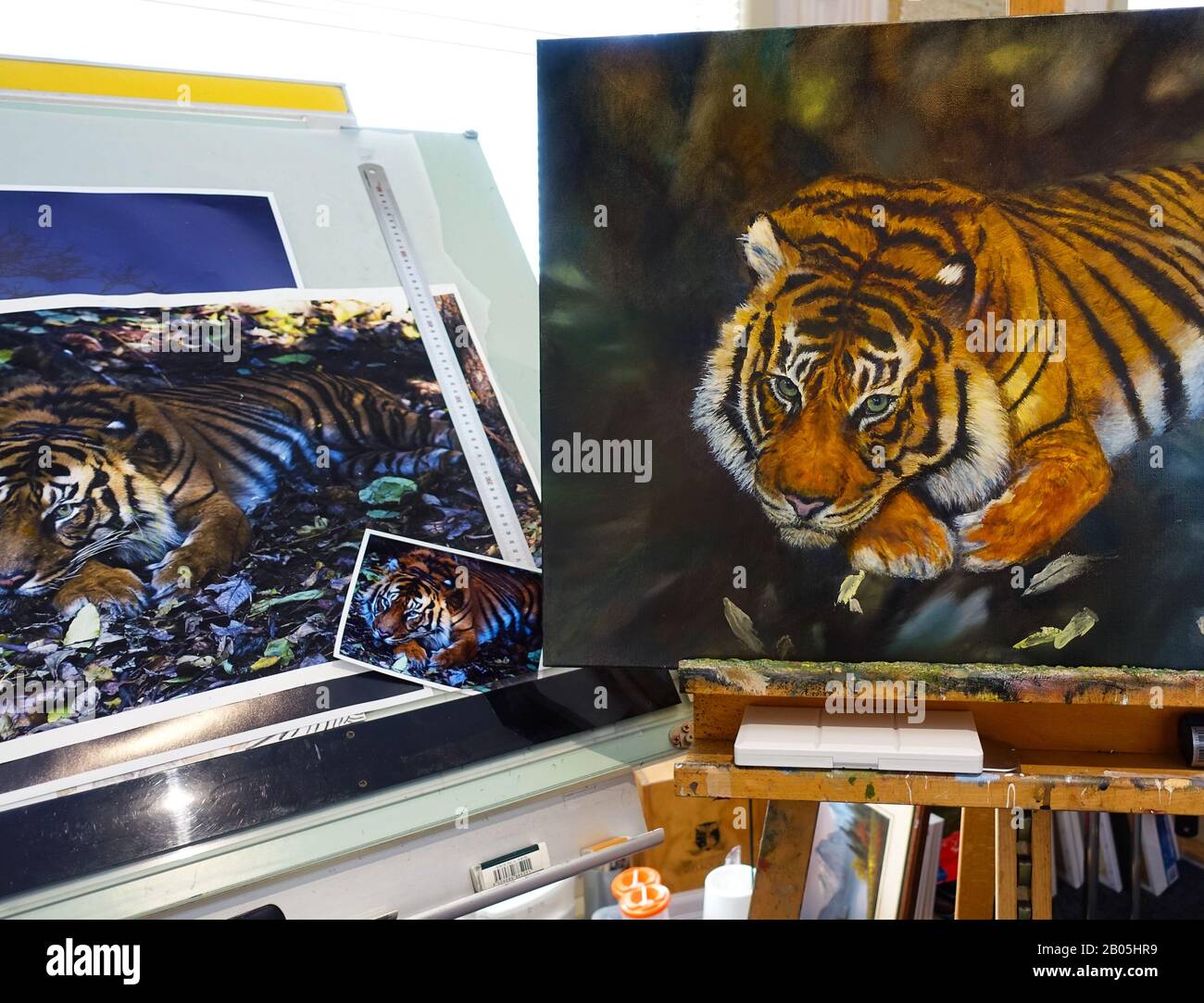Peinture à l'huile d'un tigre , avec photos de référence en vue. Photos et peinture de l'artiste australien Michele Domonkos. Version disponible sur demande. Banque D'Images