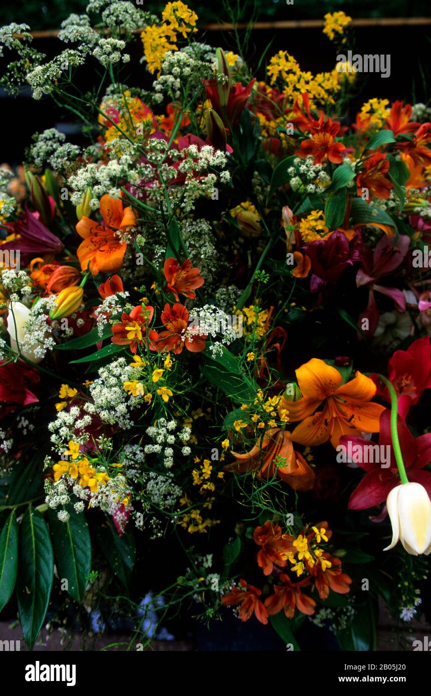 PAYS-BAS, HOLLANDE, PRÈS D'AMSTERDAM, JARDINS DE KEUKENHOF, BOUQUET DE FLEURS Banque D'Images